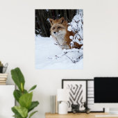 Poster Renard rouge dans la neige (Bureau à domicile)