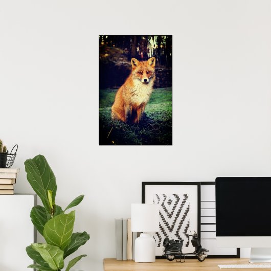 Poster Renard rouge dans une forêt (Bureau à domicile)