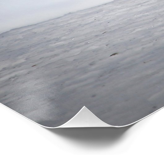 Poster Renard rouge en hiver (Coin)