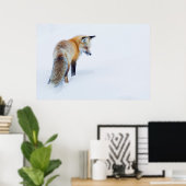Poster Renard rouge en hiver (Bureau à domicile)