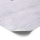 Poster Renard rouge en neige (Coin)