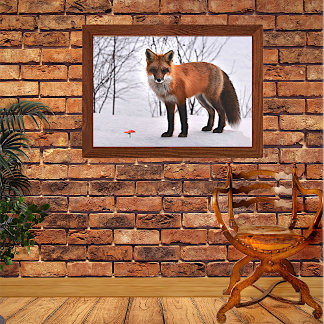 Poster Renard rouge en neige