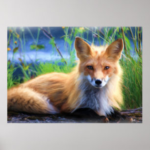 Poster Renard rouge se tenant dans l'herbe Image de la fa