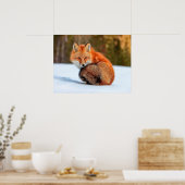 Poster Renard roux dans la neige | Yukon (Cuisine)