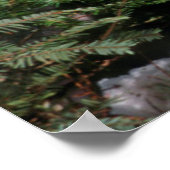 Poster Renard roux sur une bûche (Coin)