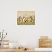 Poster Renard roux (Vulpes macrotis) jeune au terrier, 3 (Cuisine)