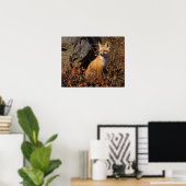 Poster renard roux, Vulpes vulpes (Bureau à domicile)
