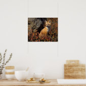 Poster renard roux, Vulpes vulpes (Cuisine)