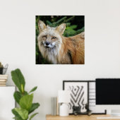 Poster Renard sauvage (Bureau à domicile)