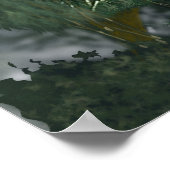 Poster - Renard sur la rivière (Coin)