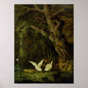 Poster Renards et oies