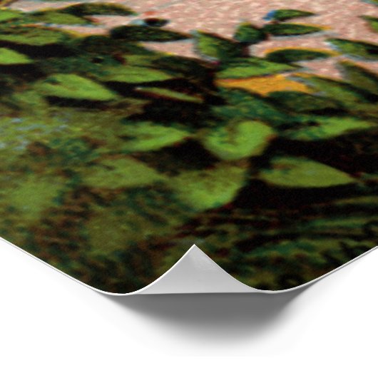 Poster Renards Fife & Drum (Coin)