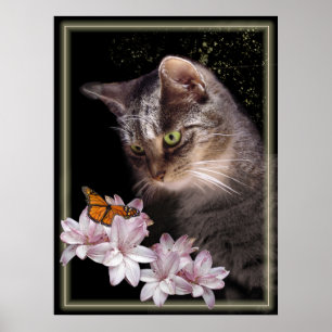 Poster Rencontre