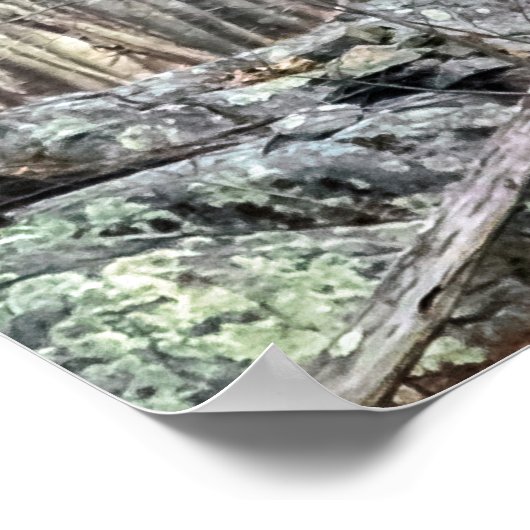 Poster Rencontre de l'aigle à tête blanche (Coin)