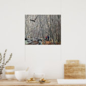 Poster Rencontre de l'aigle à tête blanche (Cuisine)