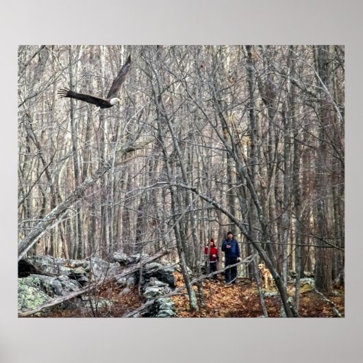 Poster Rencontre de l'aigle à tête blanche (Devant)