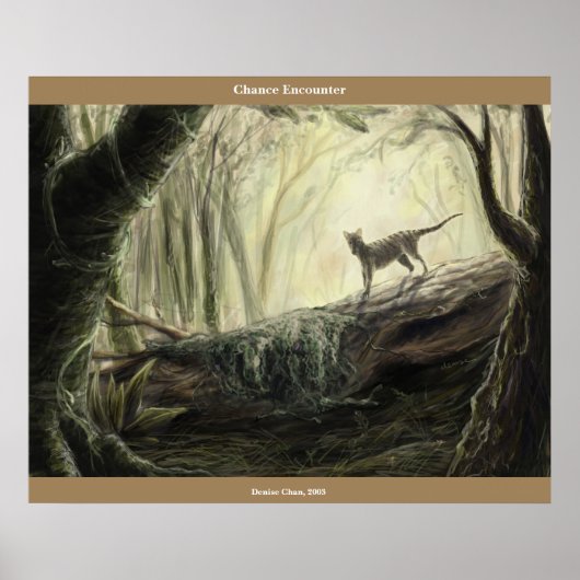 Poster Rencontre des chances (Devant)