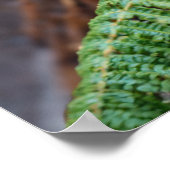 Poster Rencontre du diable de Tasmanie (Coin)