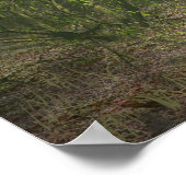 Poster Rencontre Woodland (Coin)