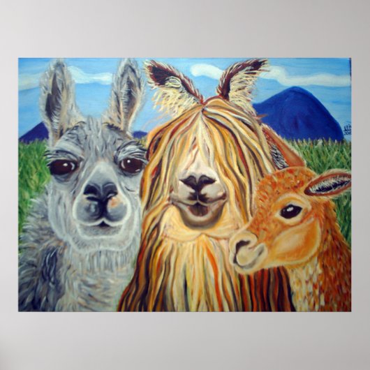 POSTER RENCONTRER LES LAMAS : LAMA, ALPACA, VICUNA ! ! ! (Devant)