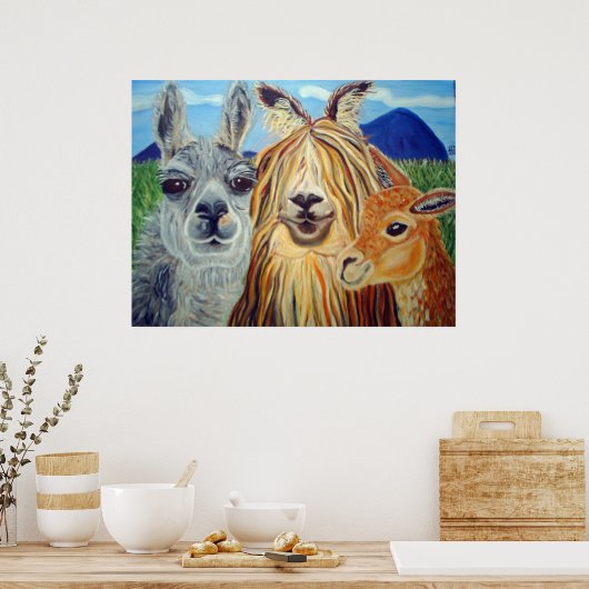 POSTER RENCONTRER LES LAMAS : LAMA, ALPACA, VICUNA ! ! ! (Cuisine)