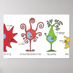 Poster Rencontrez vos cellules cérébrales LARGEMENT