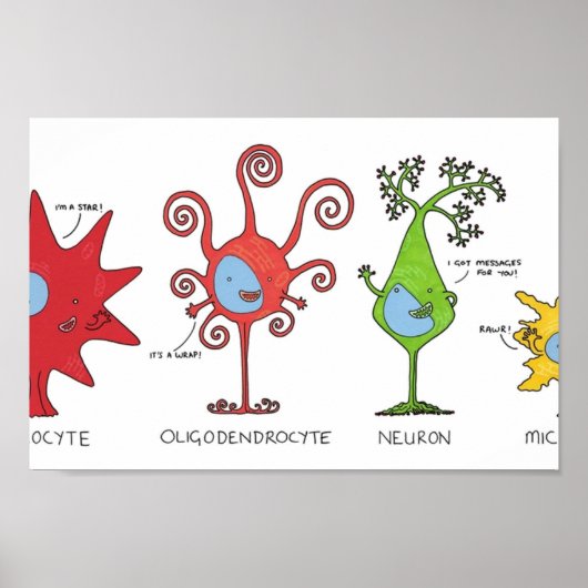 Poster Rencontrez vos cellules cérébrales LARGEMENT (Devant)