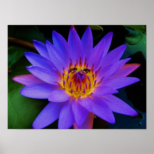 Poster Rendez-vous secret (Devant)