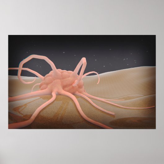 Poster Rendu 3D De La Phagocytose De Macrophage (Devant)