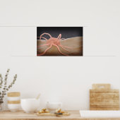 Poster Rendu 3D De La Phagocytose De Macrophage (Cuisine)