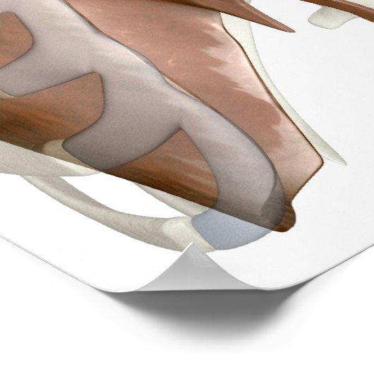 Poster rendu 3d du système respiratoire (Coin)