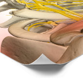 Poster Rendu des nerfs du cou (Coin)