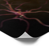 Poster Rendu numérique des neurones (Coin)