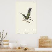 Poster Rene Primevere Leçon - Reproduction Colibri (Cuisine)