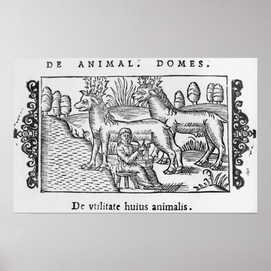 Poster Rennes à lait (Devant)