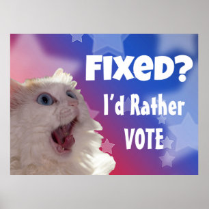 Poster Réparé? Je préférerais voter