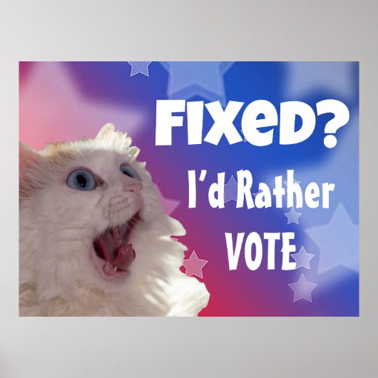 Poster Réparé? Je préférerais voter (Devant)