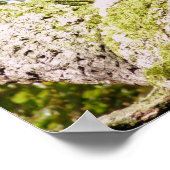 Poster Repérez l'écureuil gris (Coin)