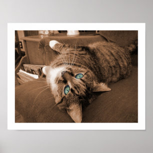 Poster Repos en sergé