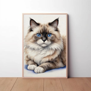 Poster Repos Ragdoll Chat Illustration Cosy Animaux