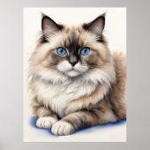 Poster Repos Ragdoll Chat Illustration Cosy Animaux (Devant)