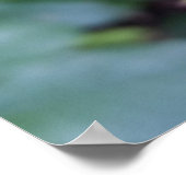 Poster reposant sur un rose (Coin)