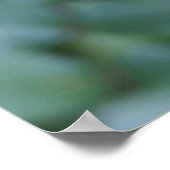 Poster reposant sur un rose (Coin)