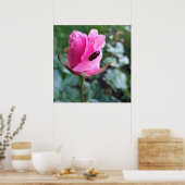 Poster reposant sur un rose (Cuisine)