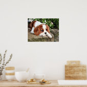 Poster Repose (Cuisine)