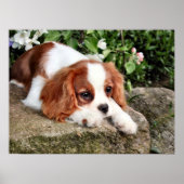 Poster Repose (Devant)