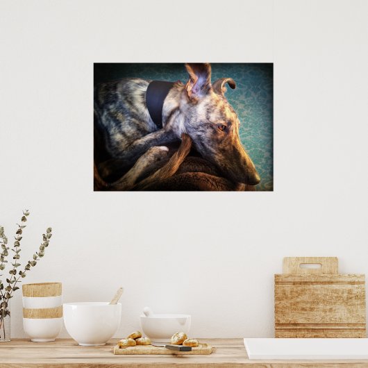 Poster Repose Brindled Lurcher Hound (Cuisine)