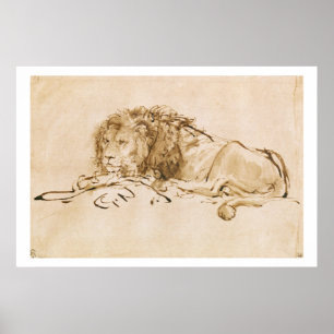 Poster Repose de lion (stylo et encre sur papier)