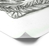 Poster Repose du dessin de tigre (Coin)