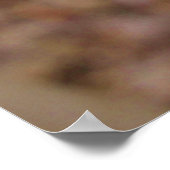 Poster Repose du dragon barbu 2 (Coin)